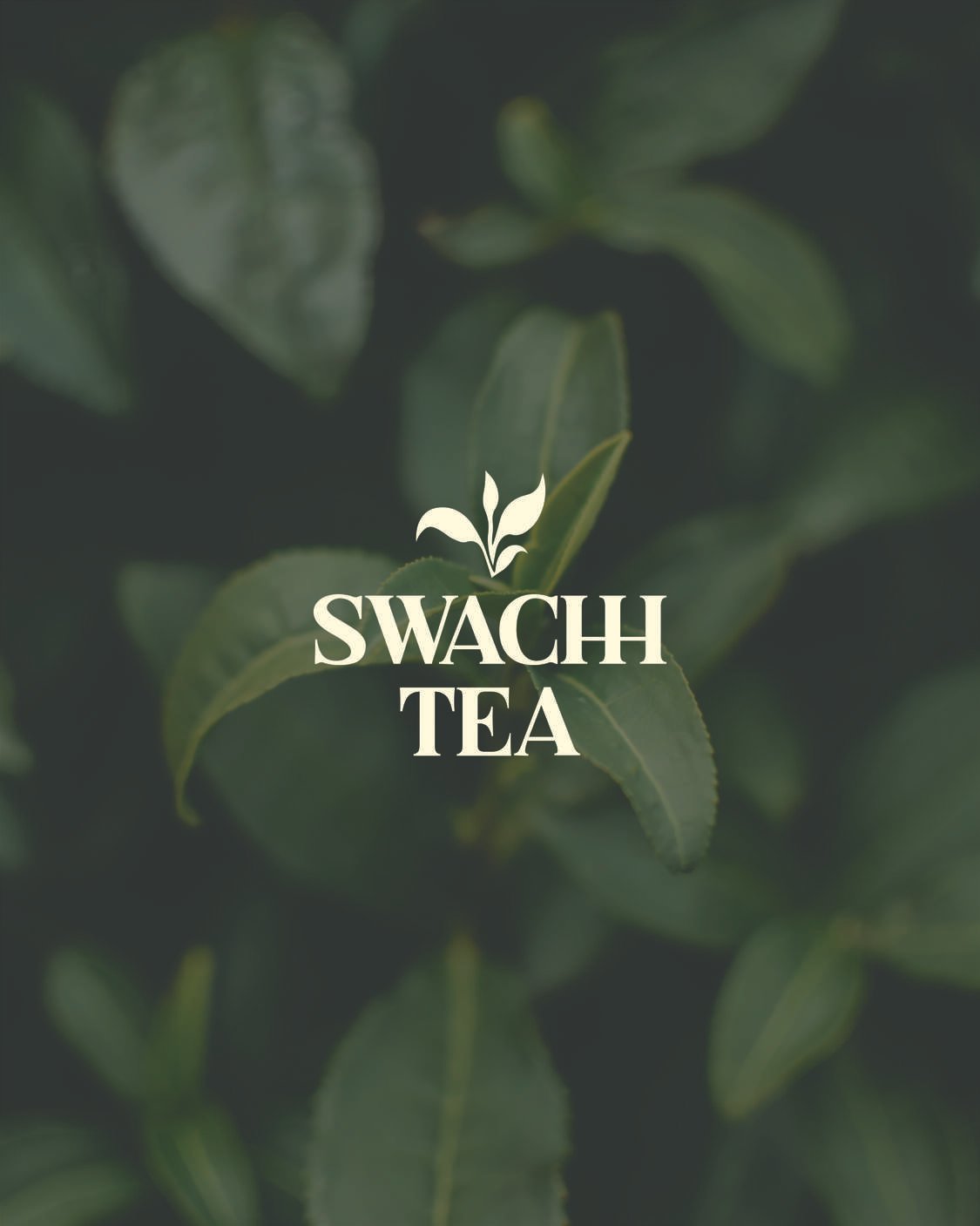 swachh tea-01